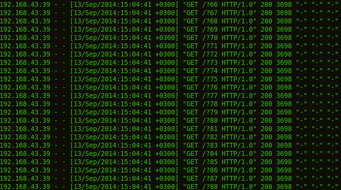 Nginx Brute-forced